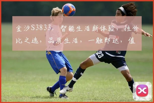 金沙S3833，智能生活新体验，性价比之选，品质生活，一触即达，值得拥有