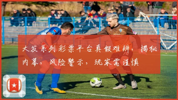 大发系列彩票平台真假难辨，揭秘内幕，风险警示，玩家需谨慎