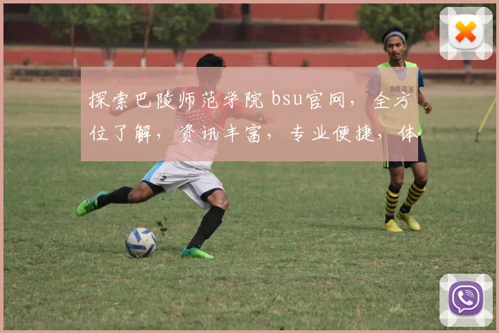 探索巴陵师范学院 bsu官网，全方位了解，资讯丰富，专业便捷，体验学术之旅